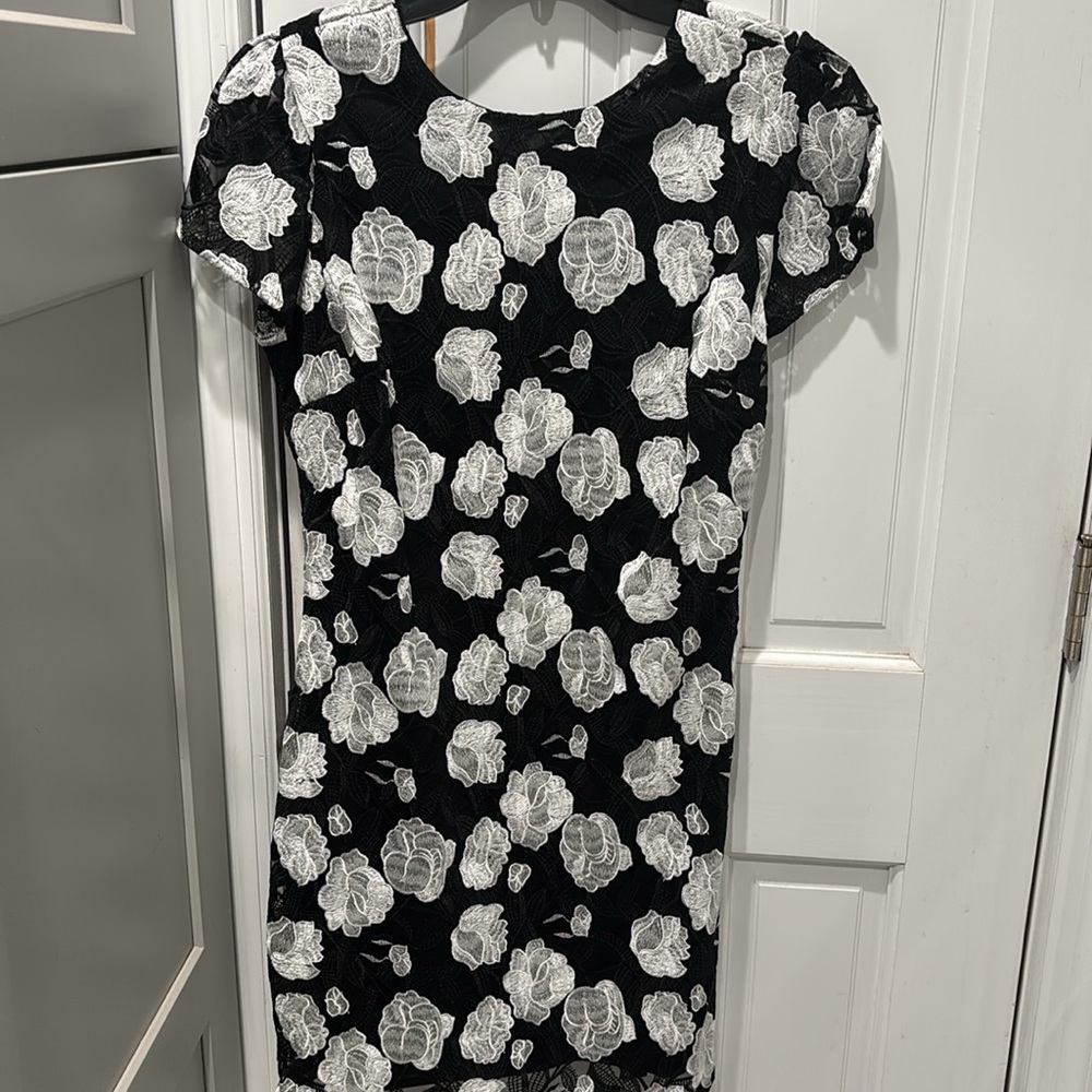 Sam Edelman Black Rose Embroidery Mini Dress-Size 4
